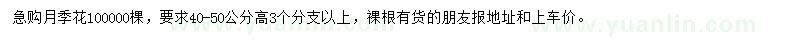 求購高40-50公分月季