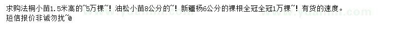 求購法桐小苗、油松小苗、新疆楊