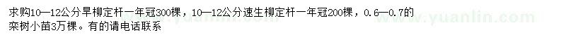 求購旱柳、速生柳、欒樹小苗