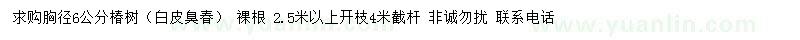 求購胸徑6公分椿樹