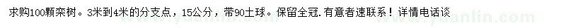 求購15公分欒樹
