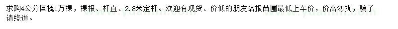 求購4公分國槐