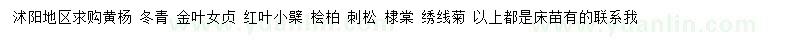 求購黃楊、冬青、金葉女貞小苗等