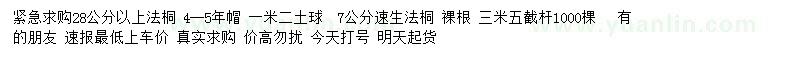 求購28公分以上法桐、7公分速生法桐