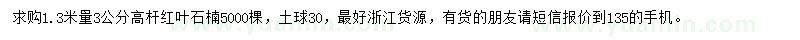 求購1.3米量3公分高桿紅葉石楠