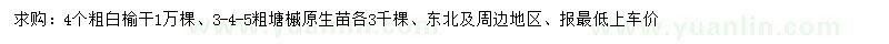 求購(gòu)4公分白榆、3-4-5公分糖槭