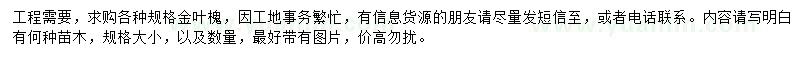 求購金葉槐