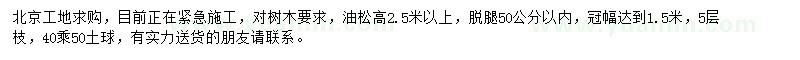 求購高2.5米以上油松