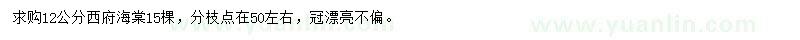 求購12公分西府海棠