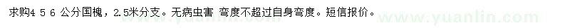 求購4、5、6公分國槐