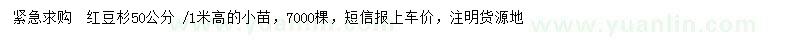 求購(gòu)高50-100公分紅豆杉小苗