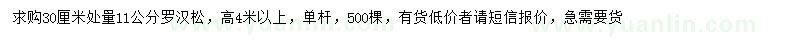 求購11公分羅漢松
