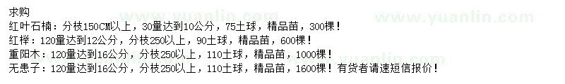 求購高桿紅葉石楠、紅櫸、重陽木等