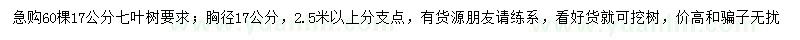 求購胸徑17公分七葉樹