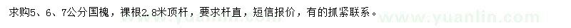 求購5、6、7公分國槐