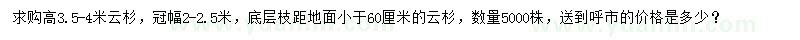 求購(gòu)高3.5-4米云杉