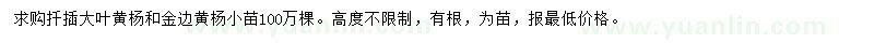 求購(gòu)大葉黃楊、金邊黃楊小苗