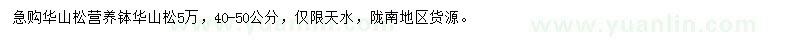 求購40-50公分華山松