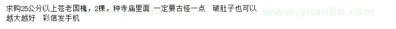 求購25公分以上蒼老國槐