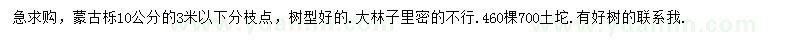 求購10公分蒙古櫟