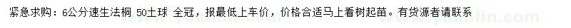 求購6公分速生法桐