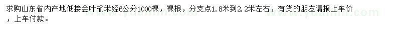 求購米徑6公分金葉榆