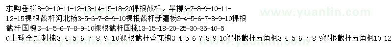 求購(gòu)垂柳、旱柳、河北楊等