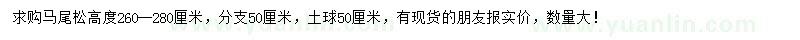求購高260-280公分馬尾松