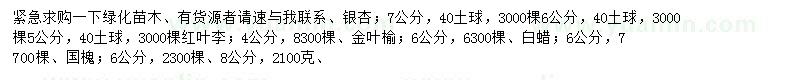 求購銀杏、紅葉李、金葉榆等