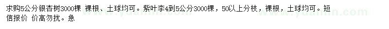 求購(gòu)5公分銀杏樹、紫葉李