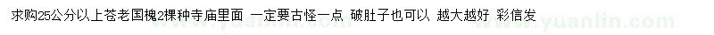 求購25公分以上國槐