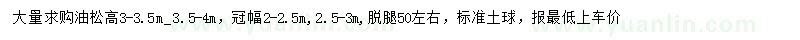 求購(gòu)冠幅2-2.5、2.5-3米油松