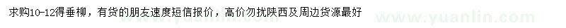 求購(gòu)10-12公分垂柳
