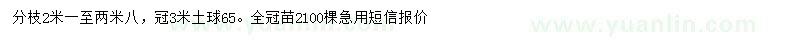 求購胸徑10公分黃山欒樹