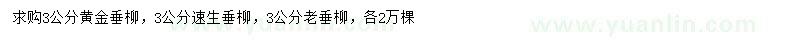 求購黃金垂柳、速生垂柳、老垂柳
