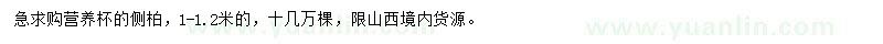 求購1-1.2米側(cè)柏