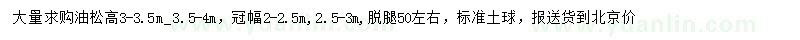 求購3-3.5米、3.5-4米油松
