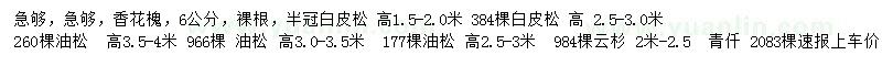 求購香花槐、白皮松、油松等