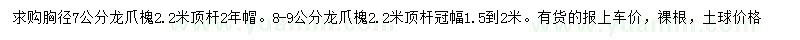 求購胸徑7、8-9公分龍爪槐