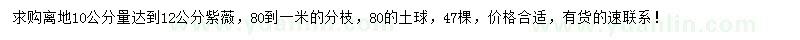 求購10公分處量12公分紫薇