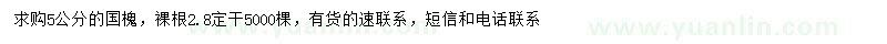 求購5公分國槐