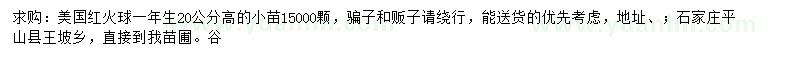 求購美國紅火球