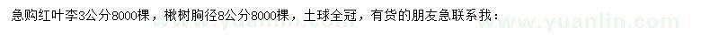求購3公分紅葉李、胸徑8公分楸樹