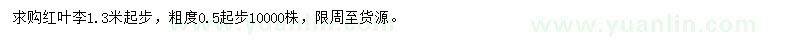求購(gòu)0.5公分以上紅葉李小苗