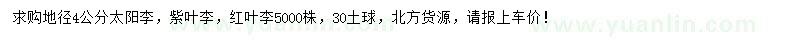 求購太陽李、紫葉李、紅葉李