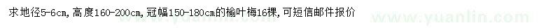 求購(gòu)地徑5-6公分榆葉梅