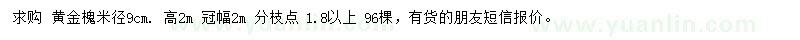 求購米徑9公分黃金槐