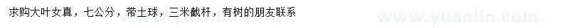 求購7公分大葉女貞
