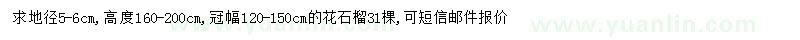 求購地徑5-6公分花石榴