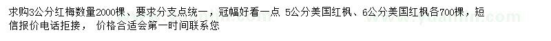 求購(gòu)3公分紅梅、5、6公分美國(guó)紅楓